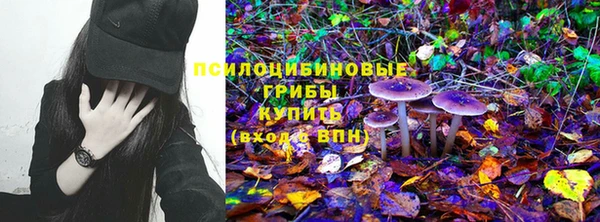 эйфоретик Арсеньев