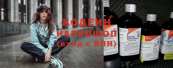 эйфоретик Арсеньев