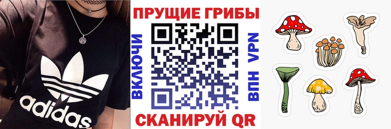 Галлюциногенные грибы прущие грибы Асбест